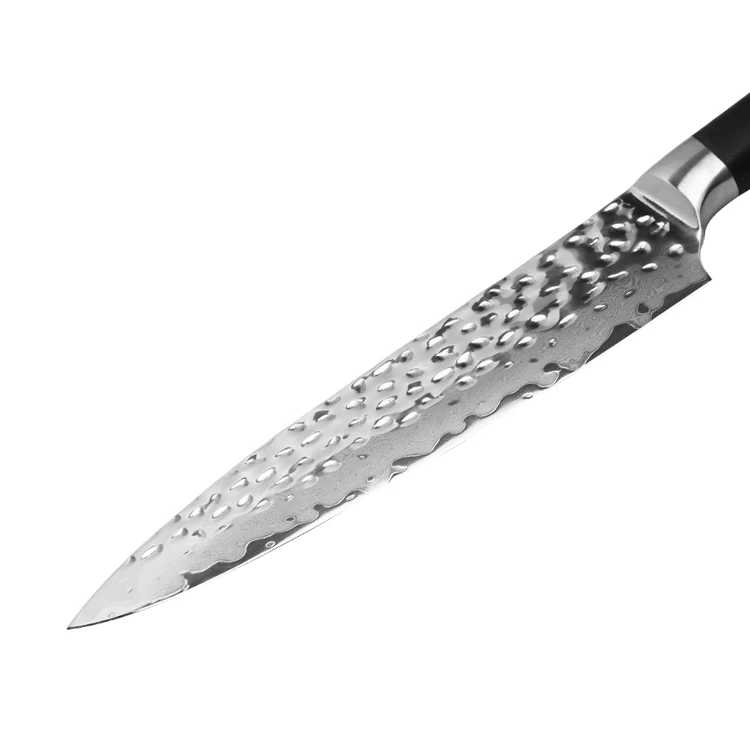 8 inch Professional Grade Japanese Damascus 67 layers Stainless Steel Chef Knife with Hammered Finished VG-10 handle