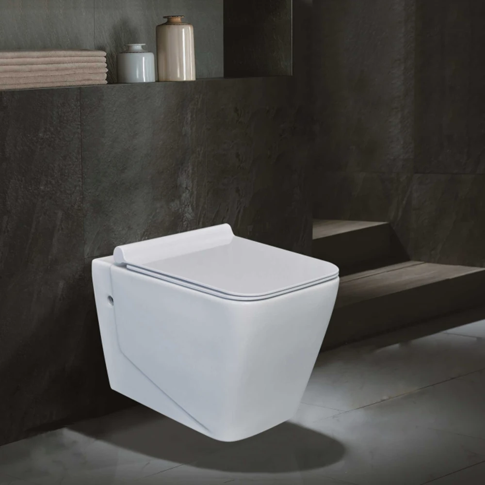 wall-hung rimless toilet bathroom cistern hidden sanitary ware