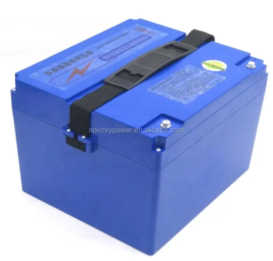 18650 Li-ion Type Golf cart battery lifepo4 battery pack 24v 50ah 60ah for 3 wheeler electric vehicle in india