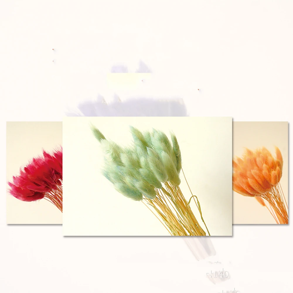 
Wholesale immortal grass immortal flower uraria crinita for home decoration 