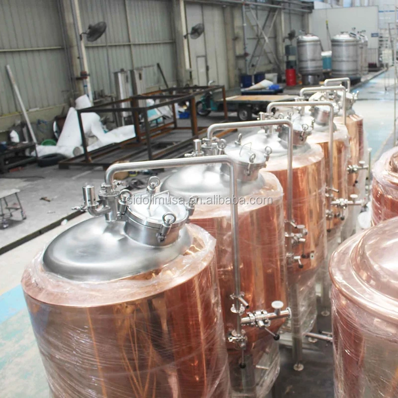 stirred tank bioreactor design homebrew kettle cylindro conical fermenter