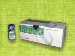 
Injection Blister Tray Bottle Tube Sachet Carton Box Packing Machine 