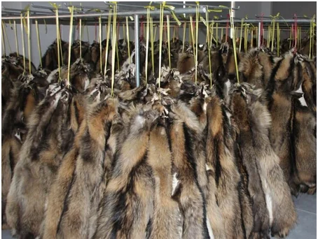 Raccoon / Fox Fur Detachable Fur Collars Leather Jacket fox Fur Collar
