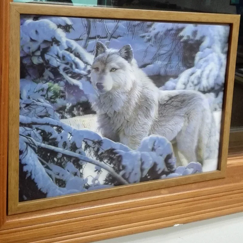 
lenticular wolf 3d picture 