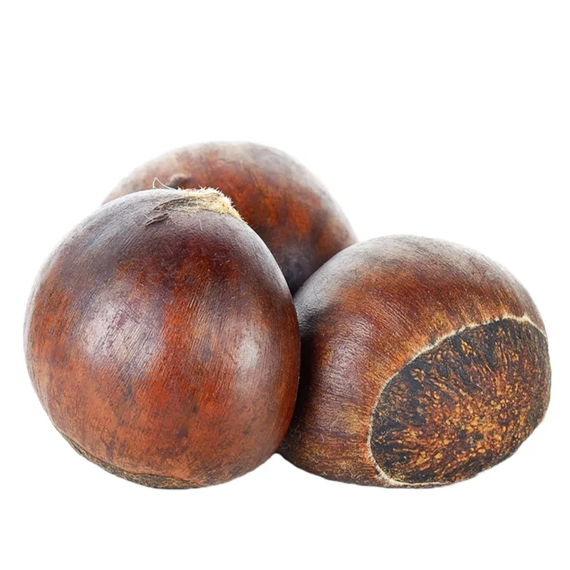 Лидер продаж, каштановый цвет, Китай, оптовая продажа