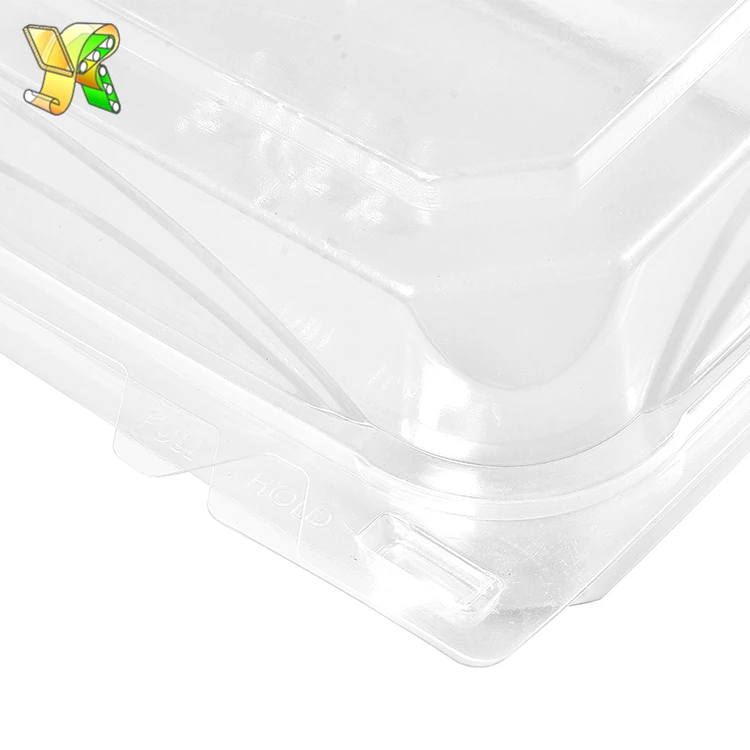 Promotional Kitchenware Rectangle Plastic Disposable Clamshell Packaging Box