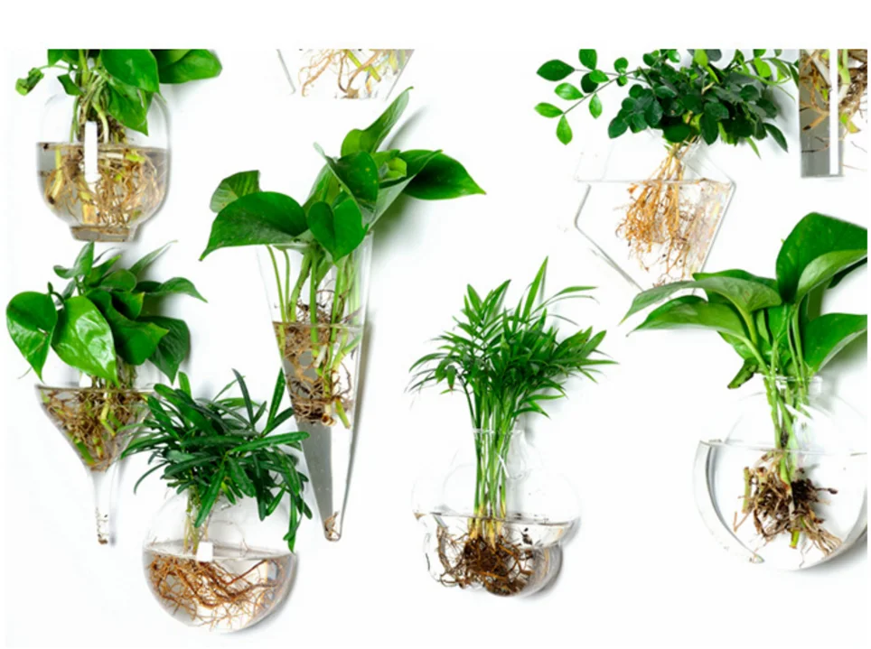 Домашний декор, настенная подвесная ручная выдувная зеленая стеклянная ваза для цветов