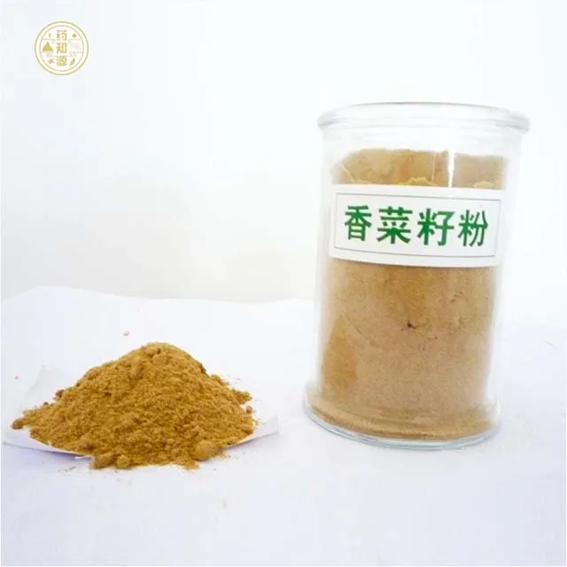 high quality pure coriander seeds