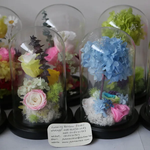 Kept More Than 3 Years Rose Preservation in Water Globe for Gifts