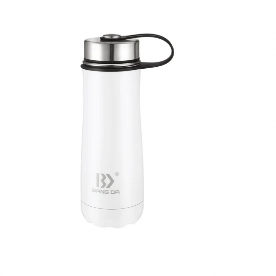 China Stainless Steel Milk Vacuum Thermos Bottle With Handle