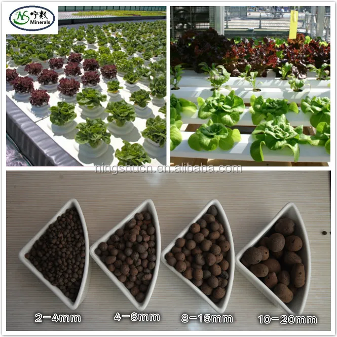 Plant nutrients clay soil bonsai soil garden LECA light weight expanded clay aggregates