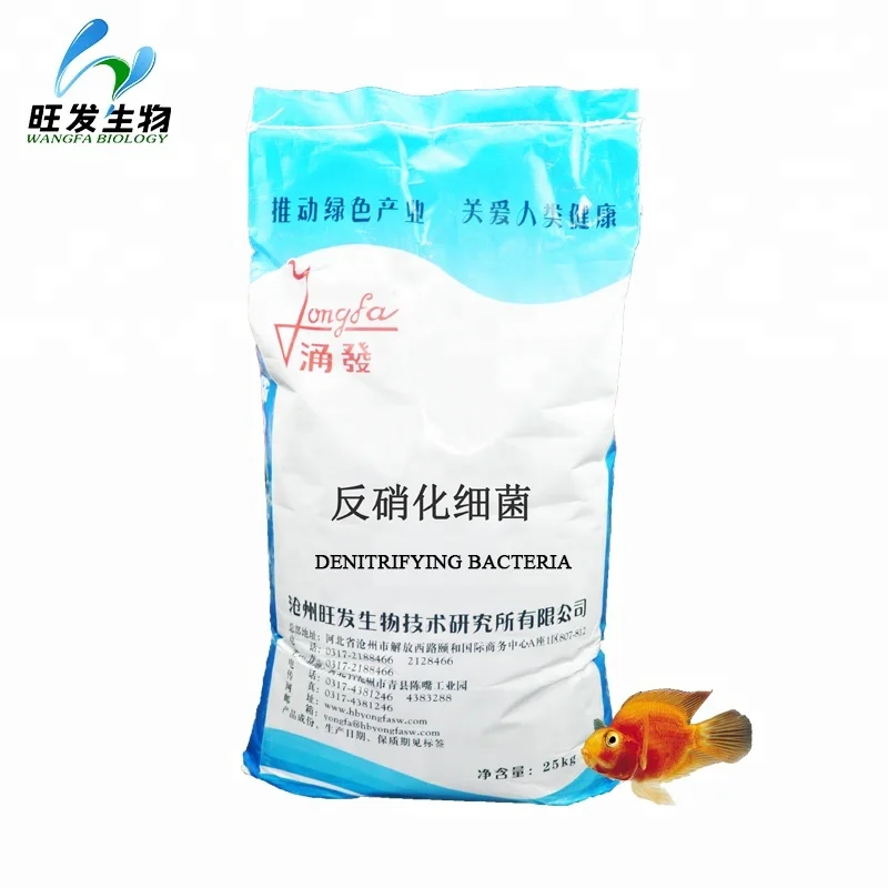 
Denitrifying Bacteria sewage treatment plant 