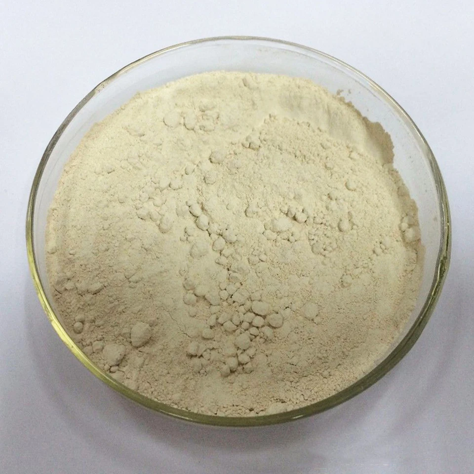 
Private Label HCA Garcinia Cambogia Extract Powder Pills For Slimming 