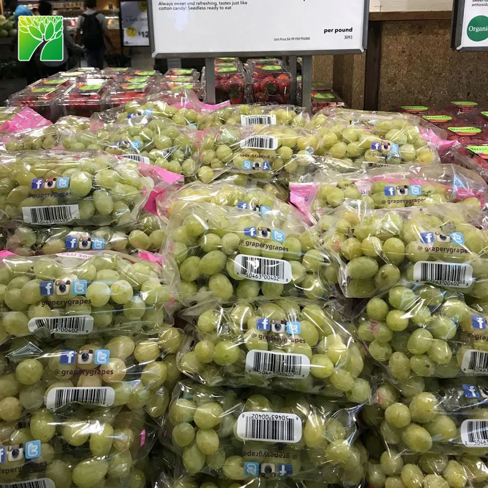 
Cheap wholesale fruit sapling tree Cotton Candy Vitis vinifera 