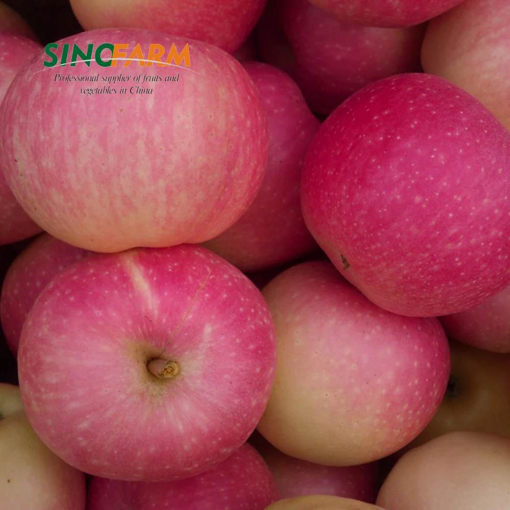 China Fresh Pink Gala Apples With Lower Price