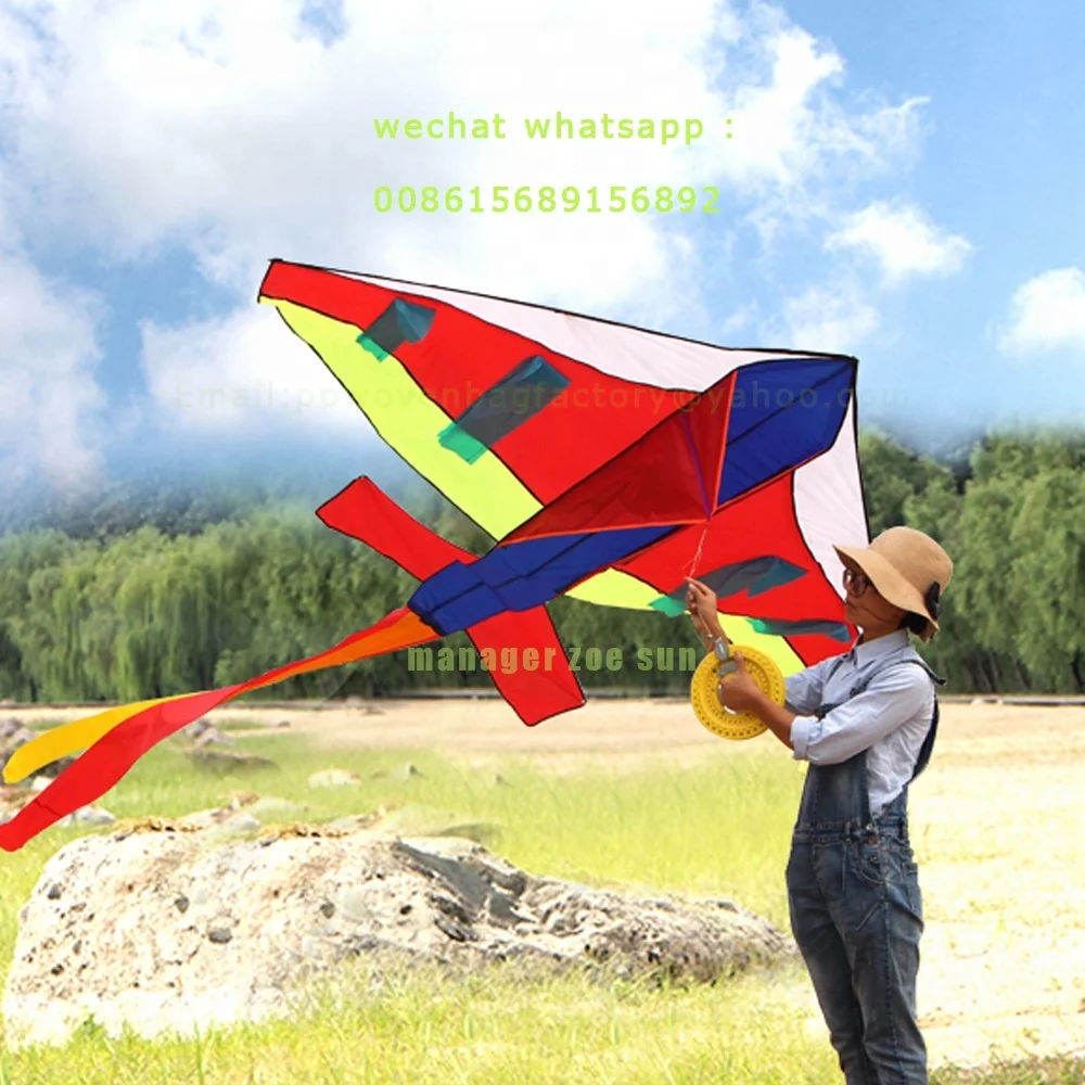 high quality plane kite 135*114cm 130*150cm 220*163cm tail 290cm
