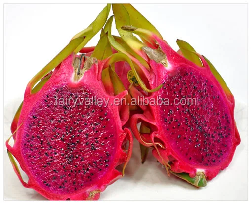 Hybrid F1 Red dragon fruit seeds for sale