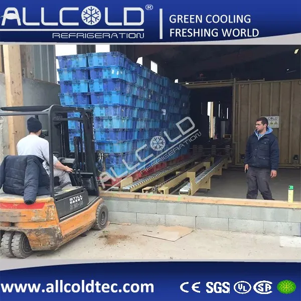 Allcold Vacuum Chiller Pre Cooler for Leafy Vegetables/Broccoli/Cauli Flower/Mushrooms