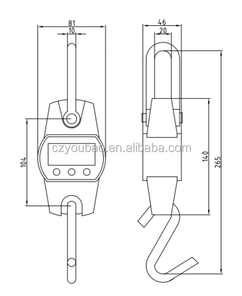 OCS 30kg 60kg 100kg 150kg 200kg 300kg  crane weighing scale with hook