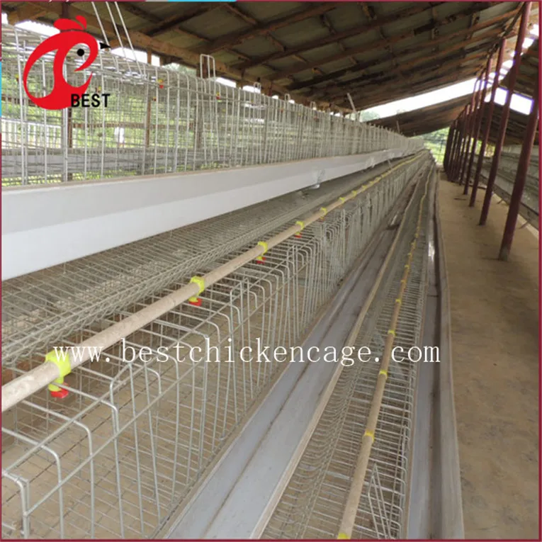 Лидер продаж клетка для кур hebei broiler 5 ярусов 200 птиц несущих автоматическая оптовых