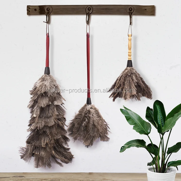 feather duster