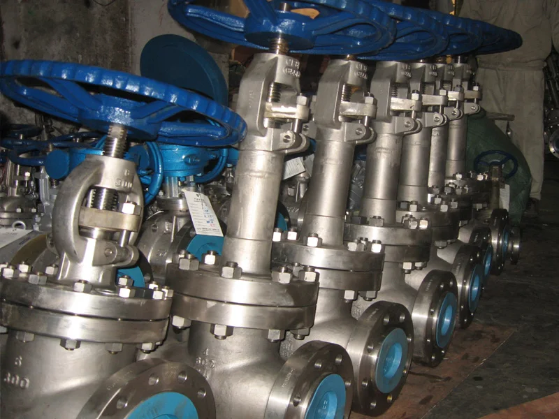 WZLD  Stainless steel Cryogenic Globe Valve