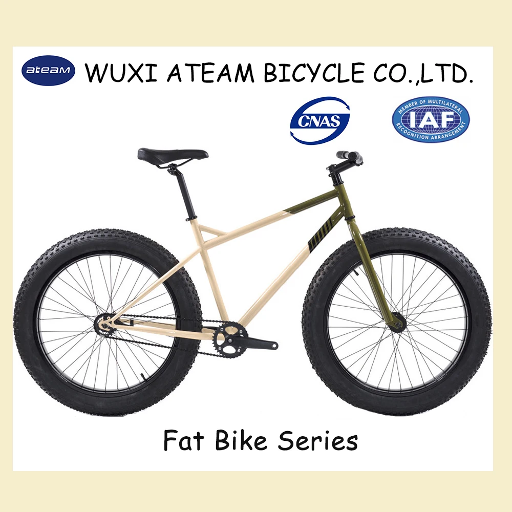 FAT4-fat bike 29  Inch ALIVO 9 SPEEDS fat mountain  bike CHINA FAT BIKE