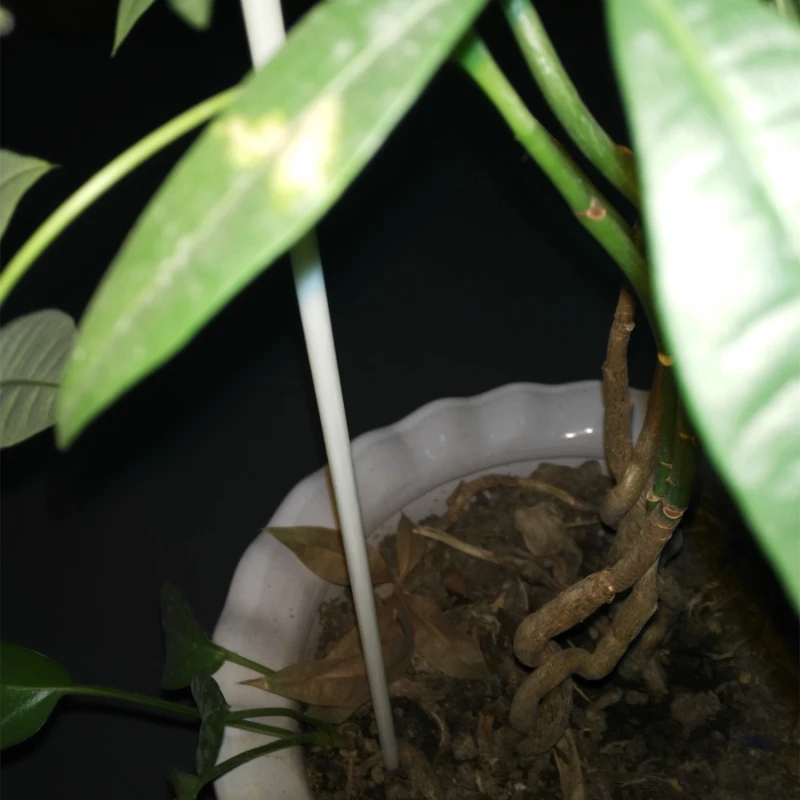 10mm fiberglass tree stake / rod