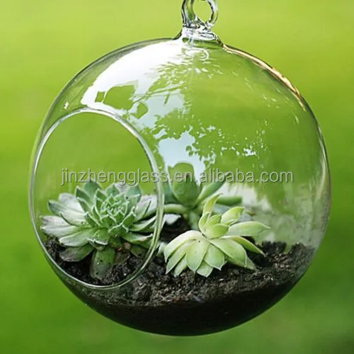 transparent Landscape Ball Shape Hydroponic Plants Flower Glass Vase for Home Wedding Decor