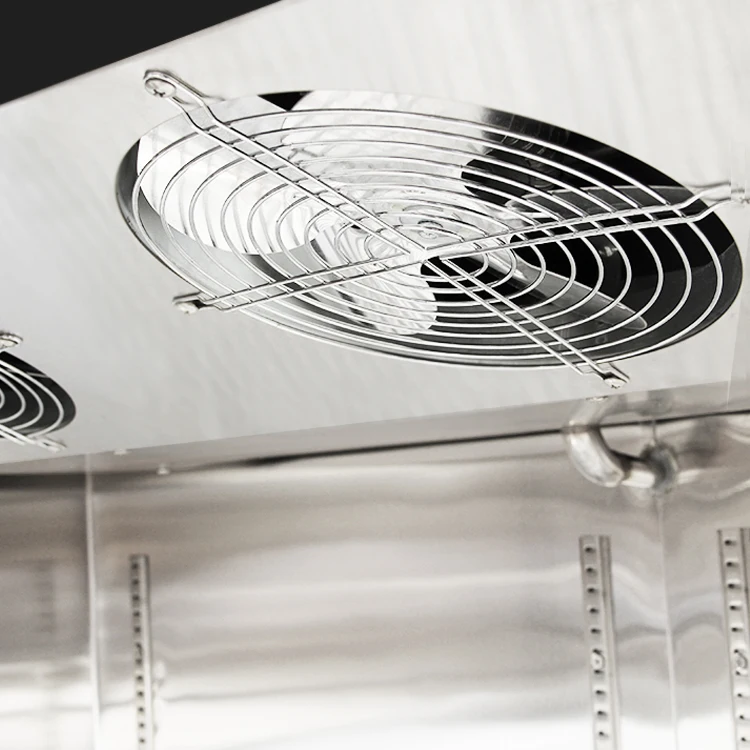 Professional 6 door vertical kitchen meat freezer