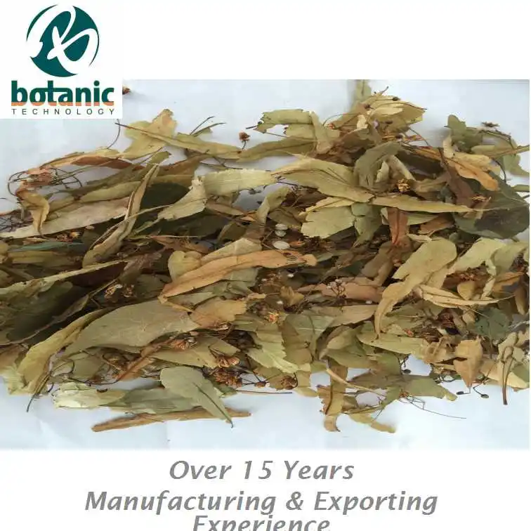 
Linden-leaf flower for herb tea material 