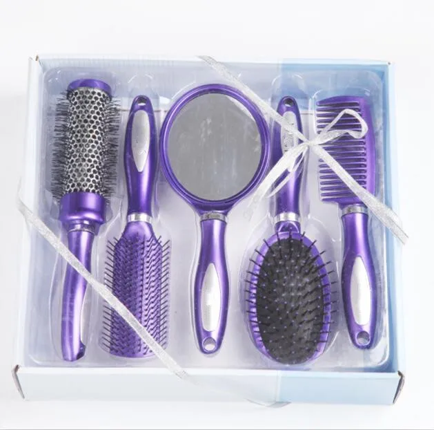 Professional 5pcs hair brush set