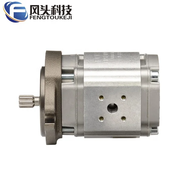 ECKERLE EIPS2-022RA04-12 S111 Gear Pump Electric Oil High Pressure