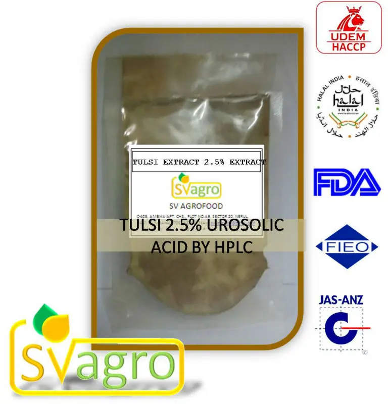 Water soluble Holy Basil Tulsi Ocimum tenuiflorum  tulasi Ocimum Sanctum Extract manufacturing herbal extract from india