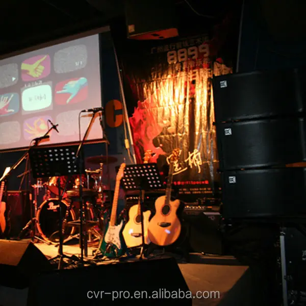 Professional audio speaker pro sound system+musical instruments