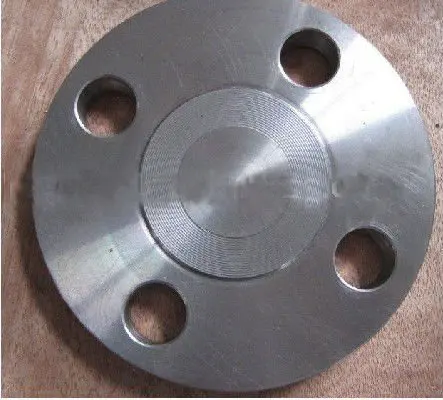 Standard JIS 20K SS316L forged Plate Flanges