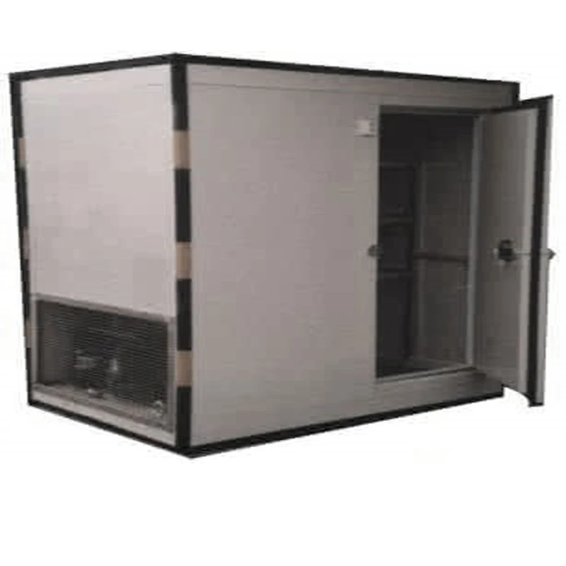Famous Brand Insulated Panels For Cold Storage Prefabricated Small Cold Room Chicken Blast Freezer For Sale