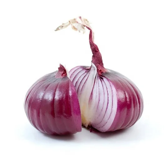 
S539 Yang Cong 100% Pure Nature Chinese Vegetable Red Onion Seeds For Planting 