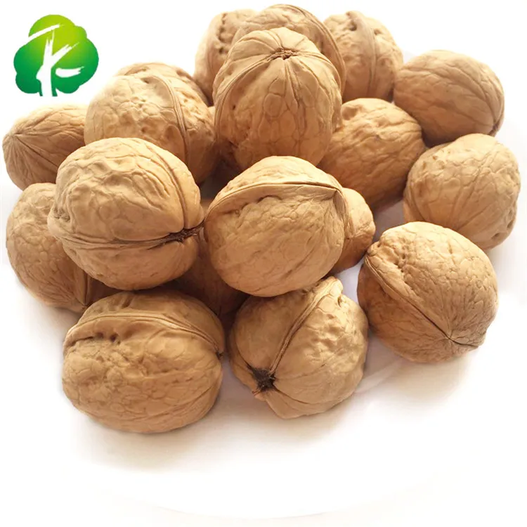 
High quality Best Price Oganic Walnuts with Thin Shell 