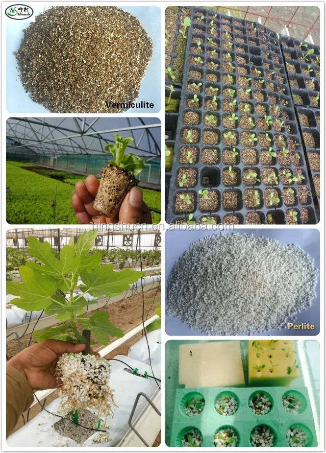 Growing Medium Expanded Perlite and Vermiculite for Orchid plant nursery