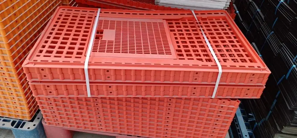 Chicken / Duck Transport Plastic Cage