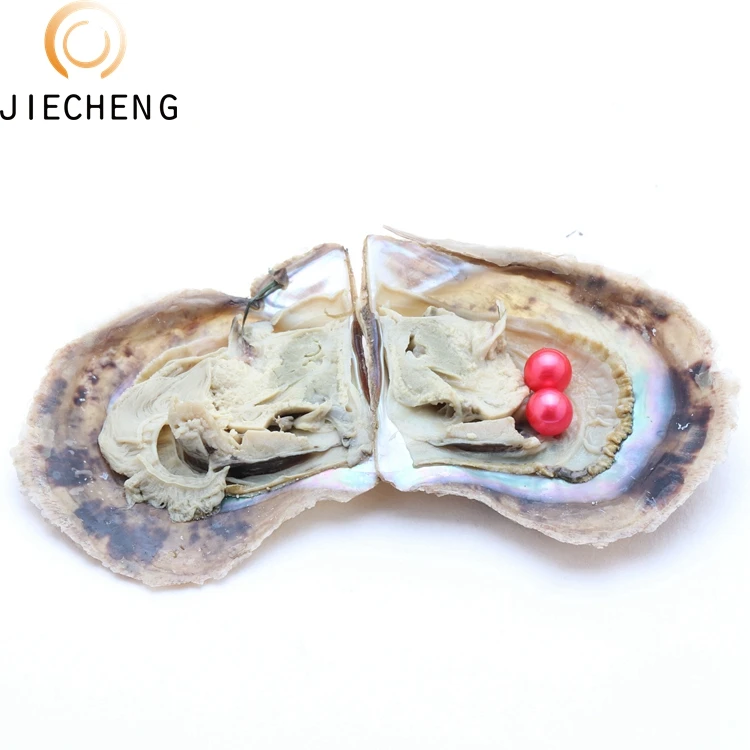 AAAA grade 6-7mm vacuum packed oysters twins seawater shell akoya pearls in oyster many colours stock