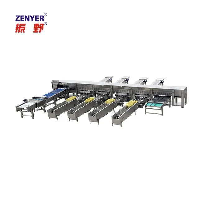 
egg grading machine for packing/egg sorting packing machine/automatic egg grading packing machine 