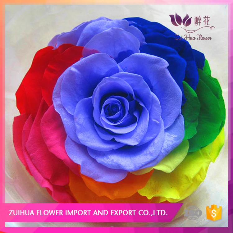 7-8cm factory home/hotel decoration preserved dried flower rainbow rose
