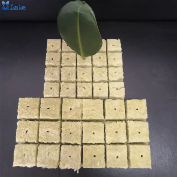Agriculture grow rock wool cubes