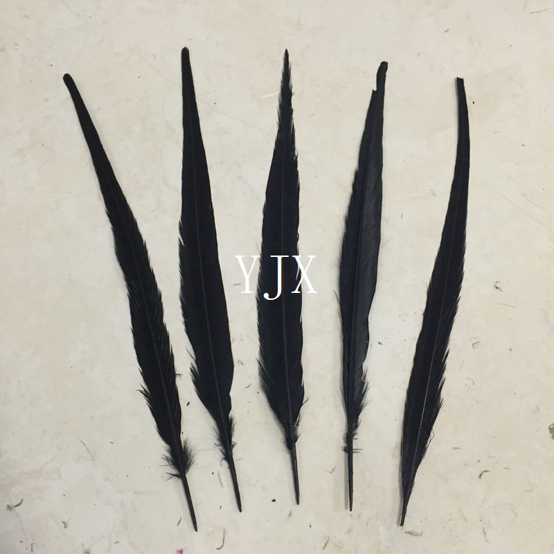 40-45cm wholesale long plumas de faisan ringneck pheasant feathers images