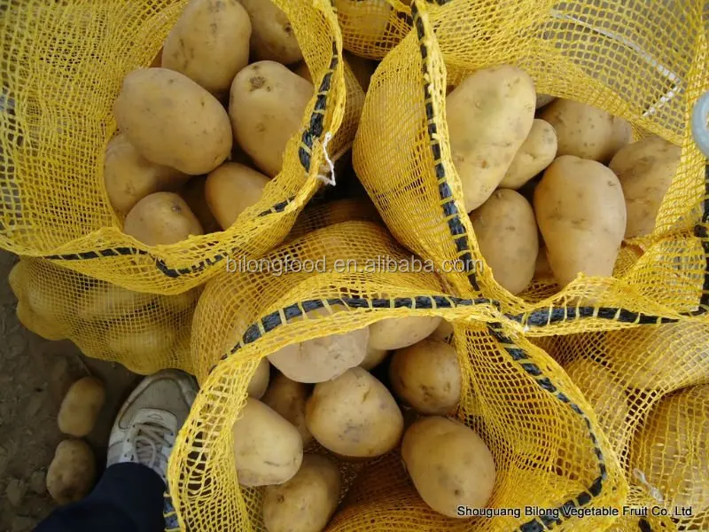 
wholesale new crop fresh holland potato (chinese product)2019 