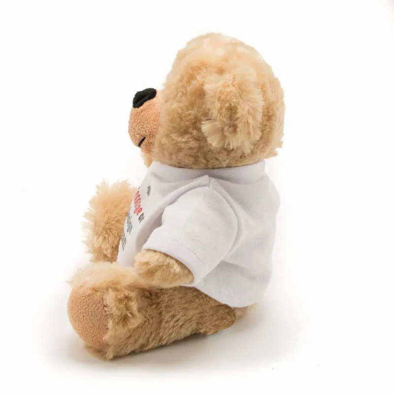 Самая низкая цена плюшевые игрушки индивидуальный логотип печатный рекламный подарок небольшой оптовый плюшевый медведь Китай