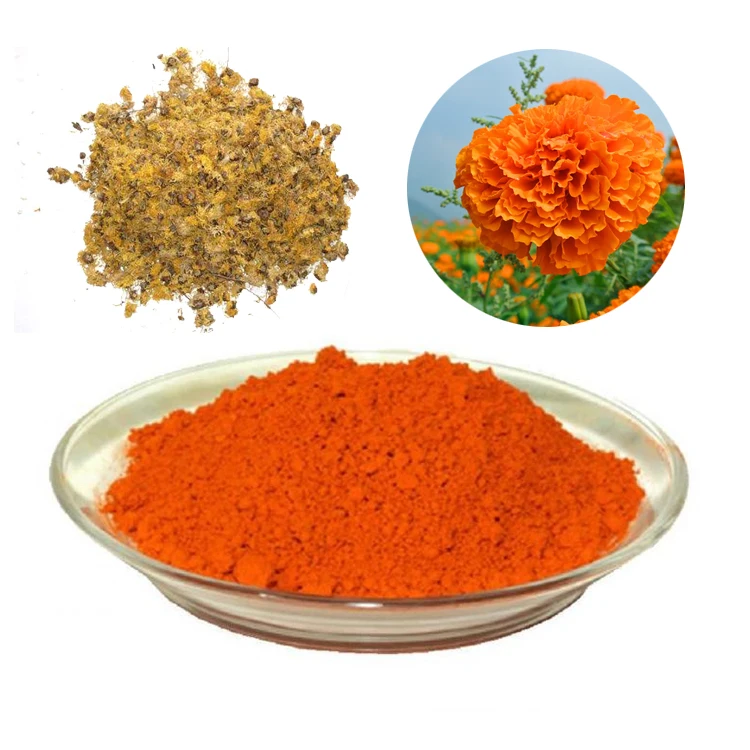 
ISO Certification marigold extract Lutein 20% Zeaxanthin Marigold Flower Extract 