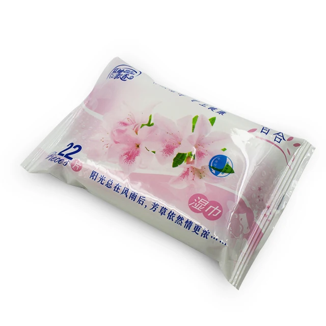 HaiJie Refreshing Cleaning Personal Hygiene Wet Wipes